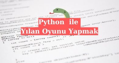 Python Yılan Oyunu Yapmak